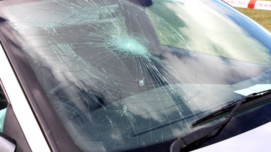 know your windshield needs